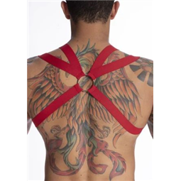 HARNESS ELASTICO VERMELHO COM ILHOS E ARGOLA DE METAL - HE010